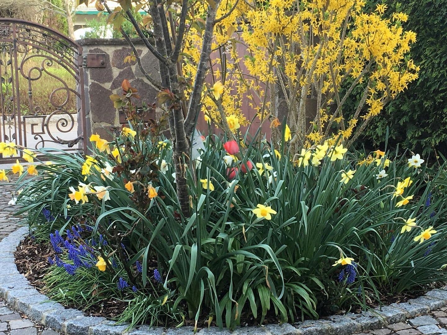 Predaj domu 278 m², pozemek 679 m², Neusäß, Bavorsko Predaj domu 278 m², pozemek 679 m², Neusäß, Bavorsko