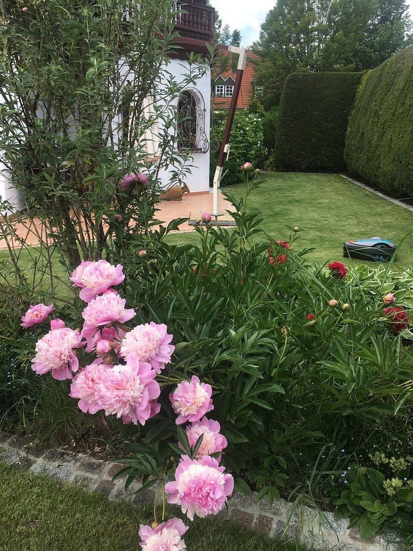 Predaj domu 278 m², pozemek 679 m², Neusäß, Bavorsko Predaj domu 278 m², pozemek 679 m², Neusäß, Bavorsko