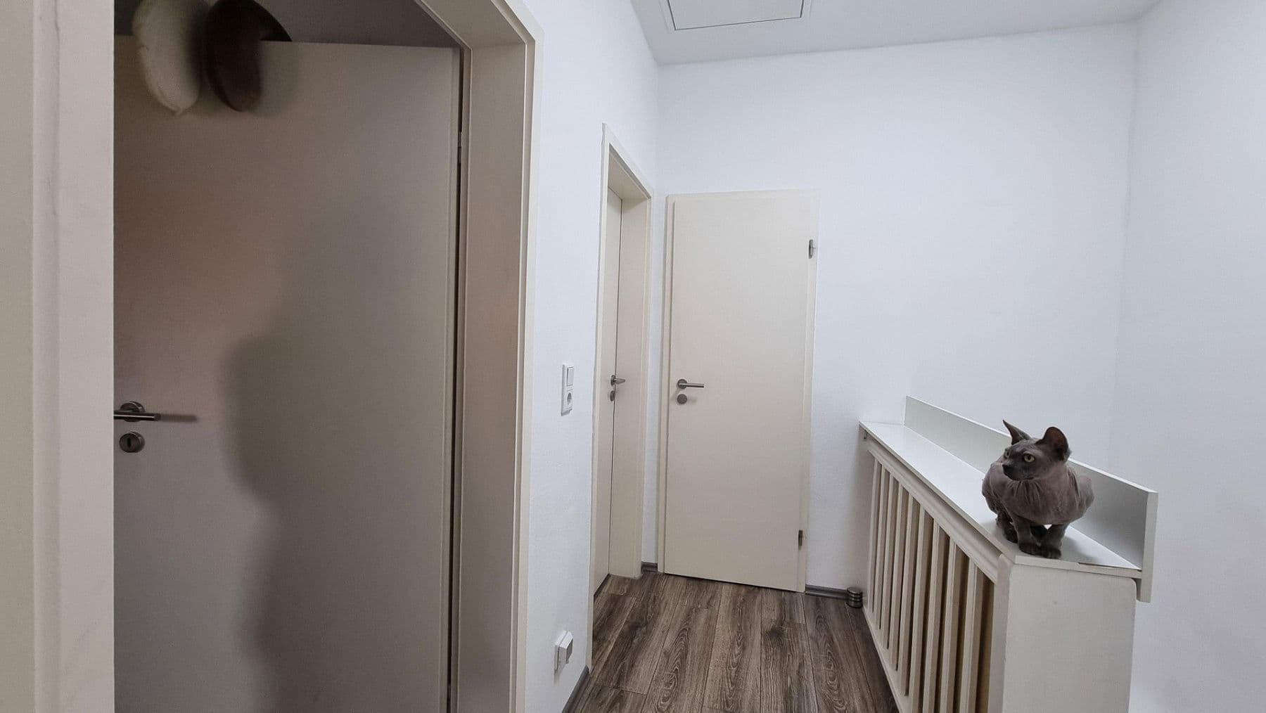 Predaj domu 72 m², pozemek 198 m², Gronau, Severné Porýnie - Westfálsko Predaj domu 72 m², pozemek 198 m², Gronau, Severné Porýnie - Westfálsko