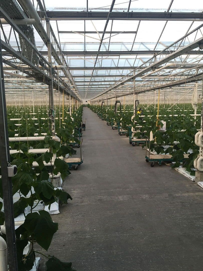 Predaj pozemku 14.889 m², Remsharter Str. 50, Burgau, Bavorsko Predaj pozemku 14.889 m², Remsharter Str. 50, Burgau, Bavorsko