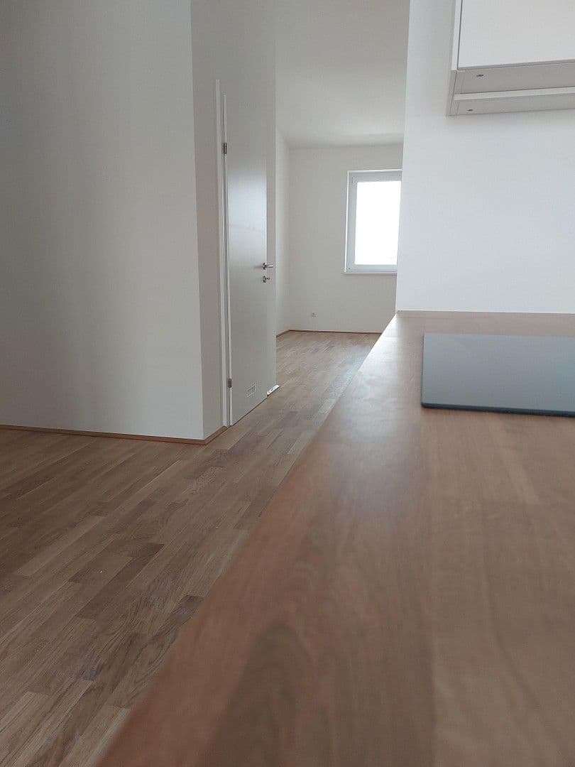 Prenájom bytu 2-izbový 66 m², Wienerstr. 29, Linz, Horné Rakúsko Prenájom bytu 2-izbový 66 m², Wienerstr. 29, Linz, Horné Rakúsko