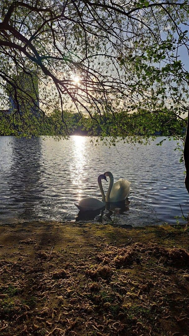 Prenájom bytu 3-izbový 200 m², Berlin, Berlín Prenájom bytu 3-izbový 200 m², Berlin, Berlín