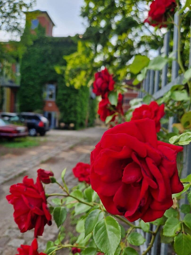 Prenájom bytu 3-izbový 200 m², Berlin, Berlín Prenájom bytu 3-izbový 200 m², Berlin, Berlín