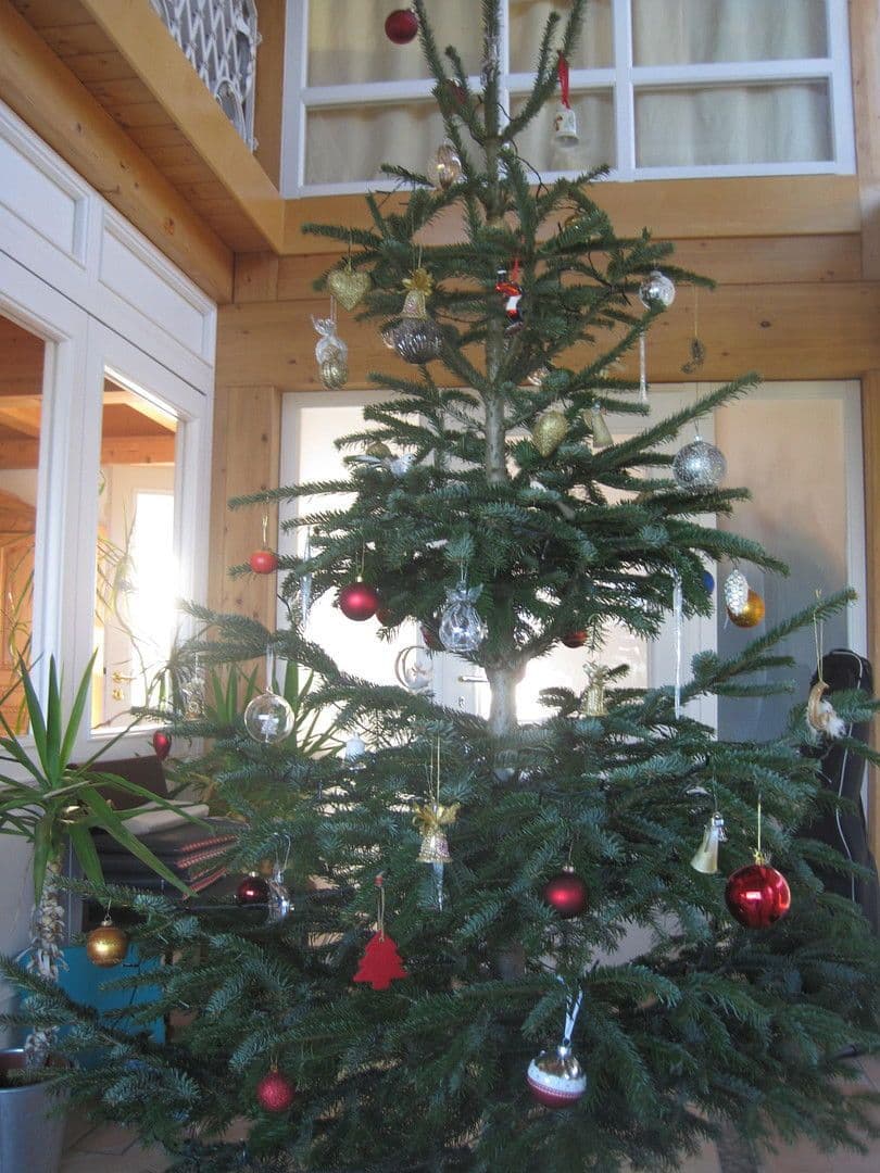 Predaj domu 258 m², pozemek 659 m², Halfing, Bavorsko Predaj domu 258 m², pozemek 659 m², Halfing, Bavorsko