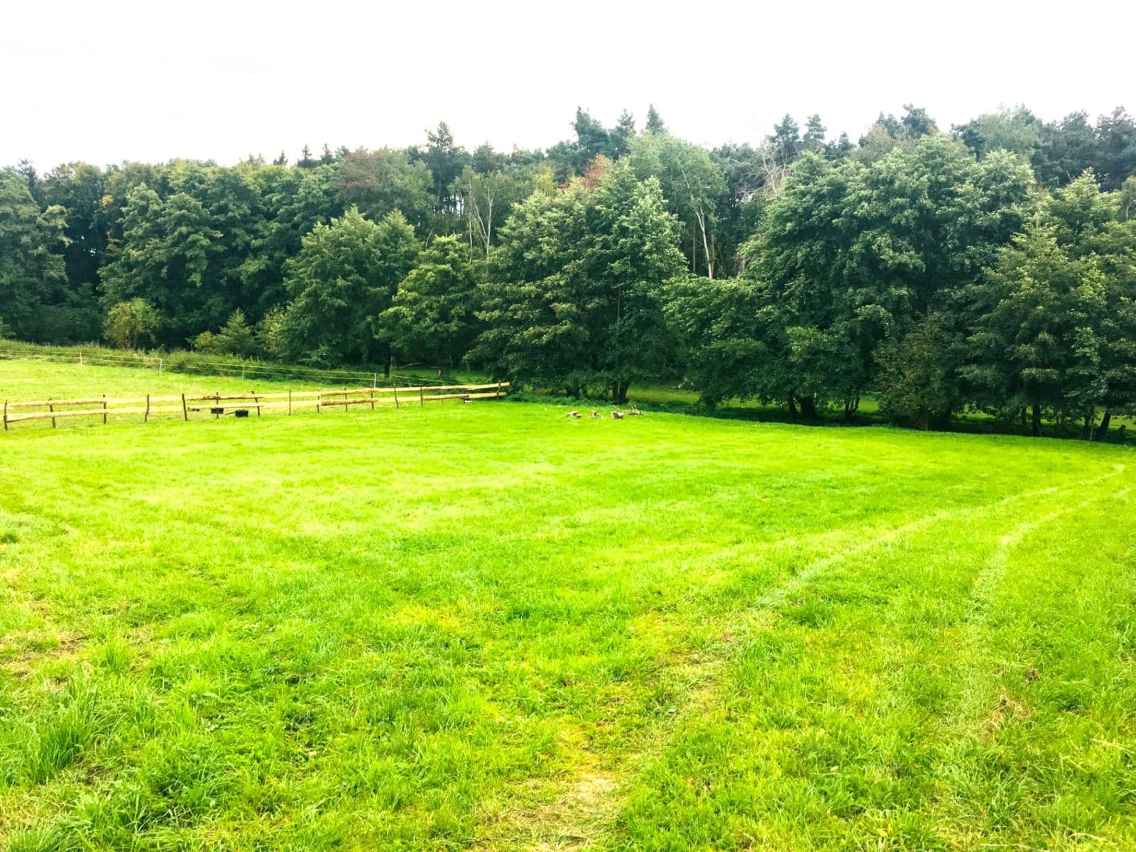 Predaj pozemku 36.000 m², Podolanka, Středočeský kraj Predaj pozemku 36.000 m², Podolanka, Středočeský kraj