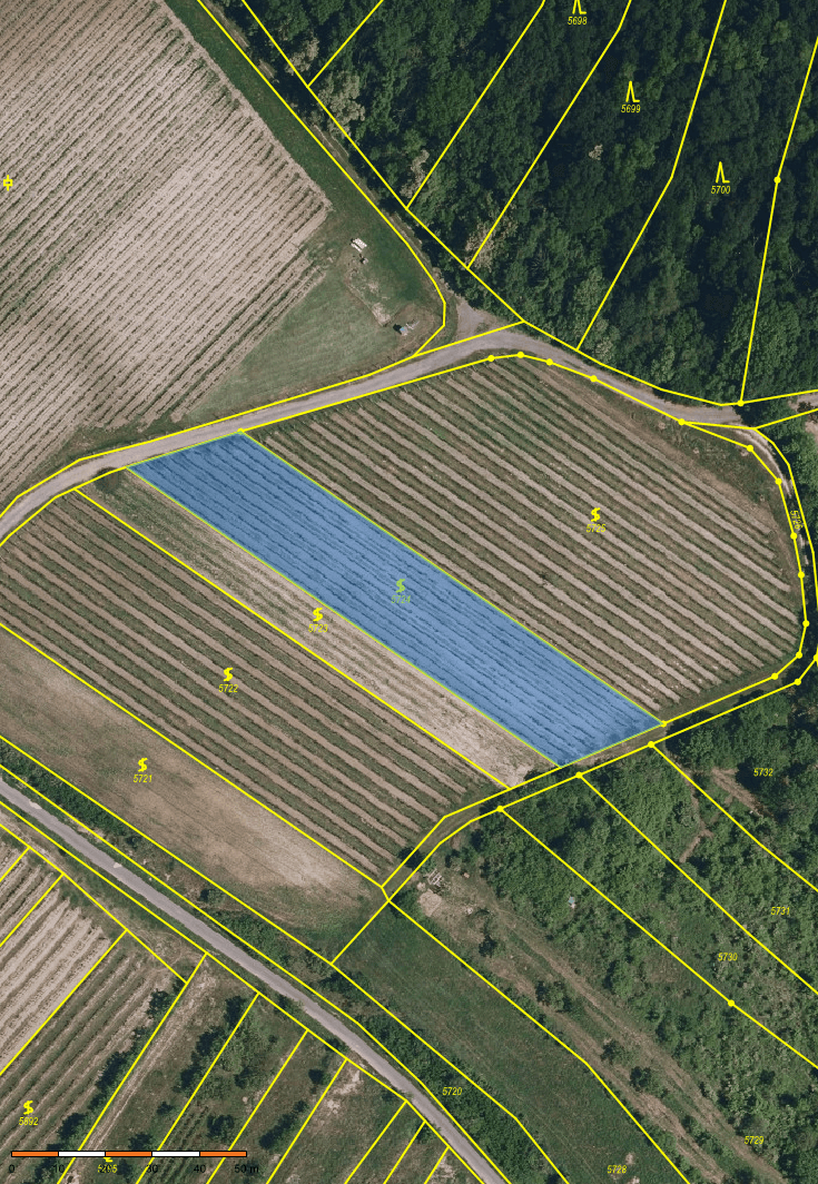 Predaj pozemku 2.219 m², Němčičky, Jihomoravský kraj Predaj pozemku 2.219 m², Němčičky, Jihomoravský kraj