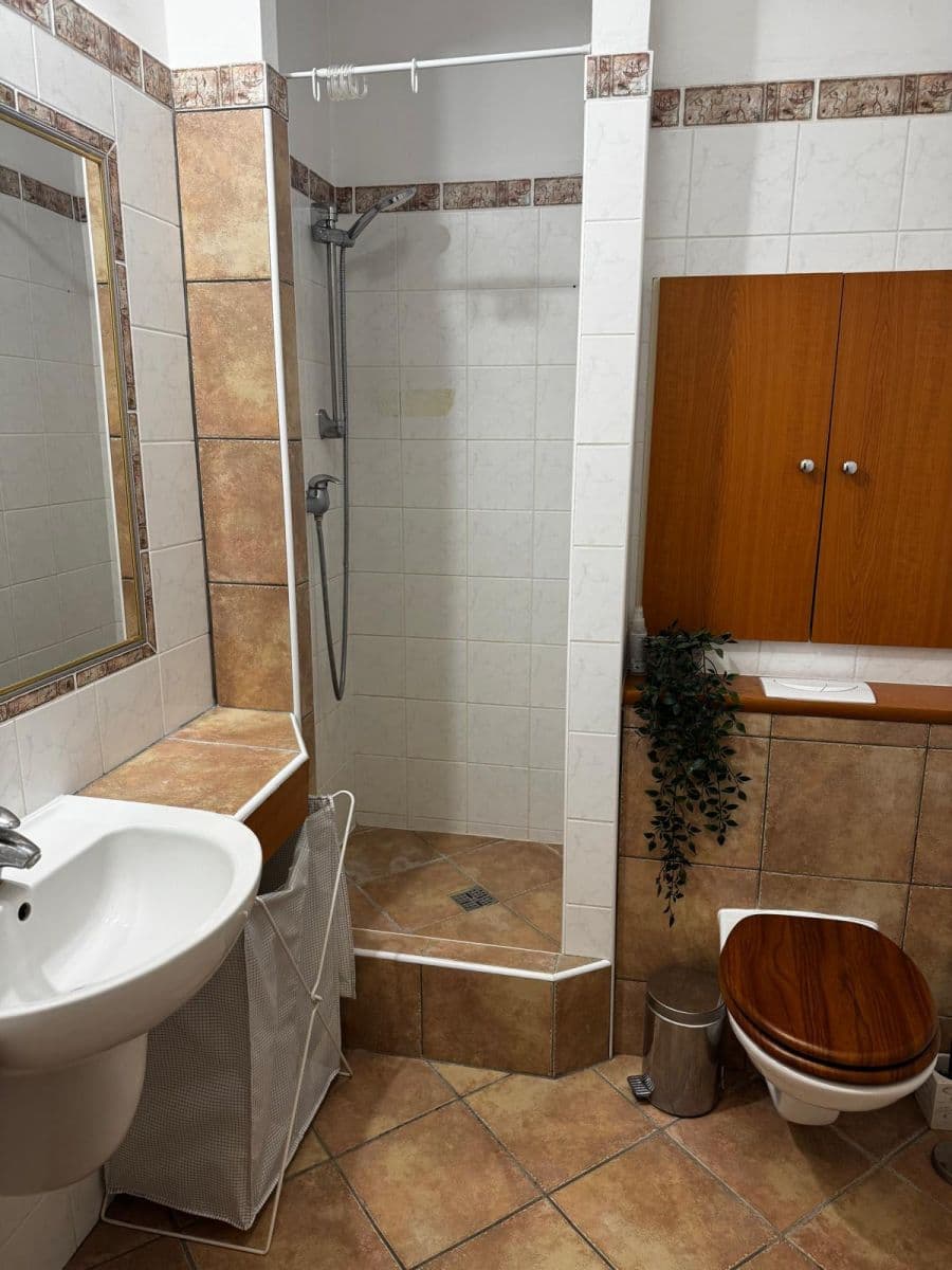 Prenájom bytu 1-izbový 37 m², Högrova, Brno, Jihomoravský kraj Prenájom bytu 1-izbový 37 m², Högrova, Brno, Jihomoravský kraj