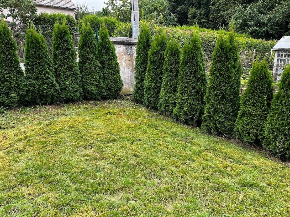 Predaj domu 175 m², pozemek 378 m², Plzeň, Plzeňský kraj Predaj domu 175 m², pozemek 378 m², Plzeň, Plzeňský kraj