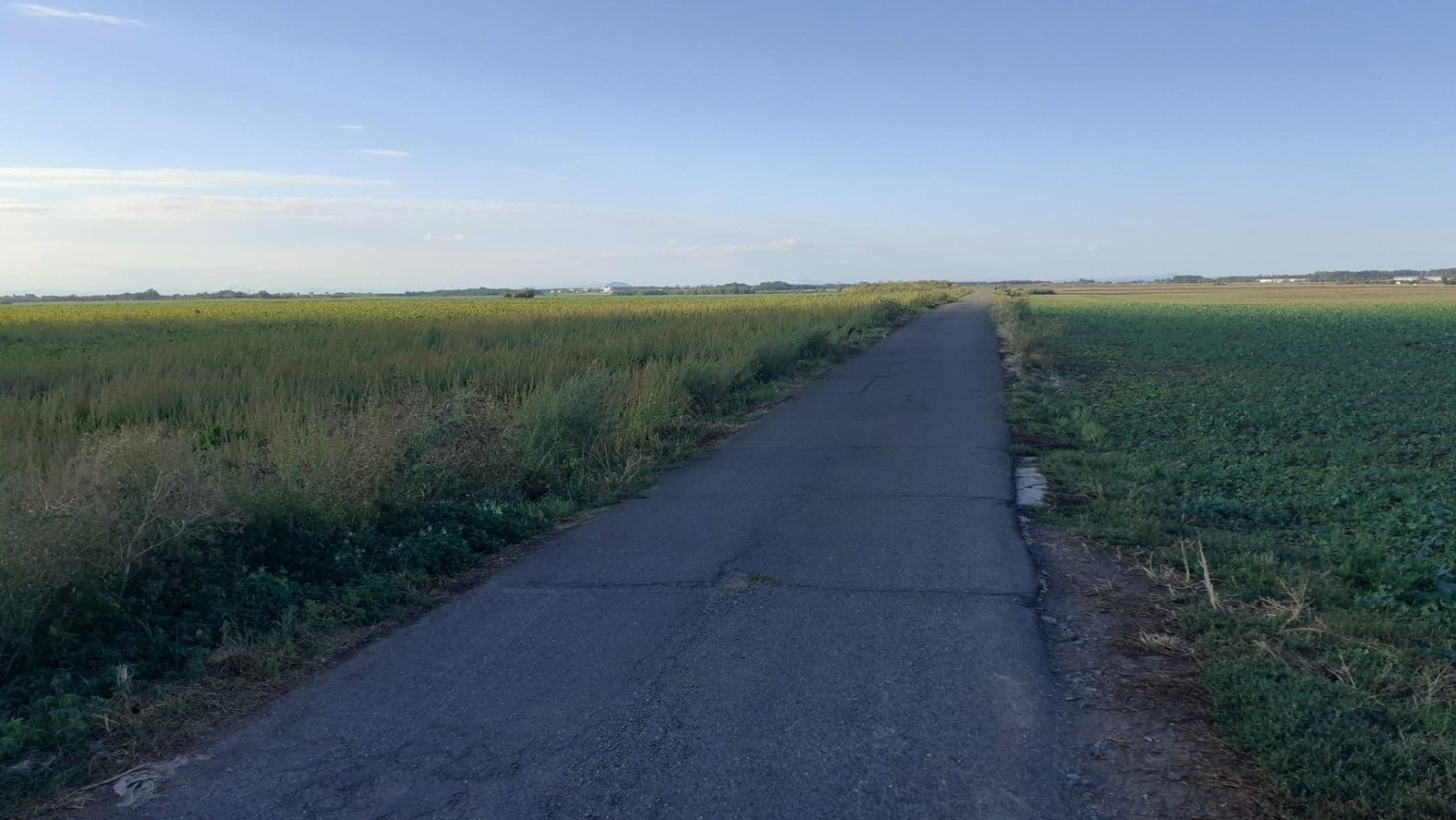 Prenájom bytu 2-izbový 43 m², V Honech, Klecany, Středočeský kraj Prenájom bytu 2-izbový 43 m², V Honech, Klecany, Středočeský kraj