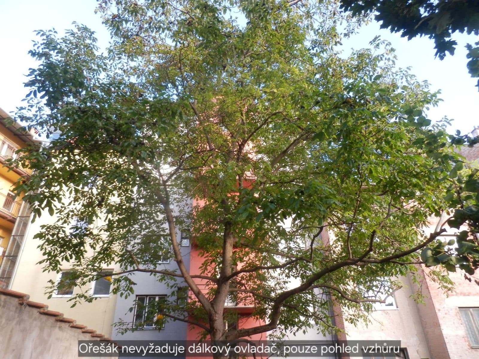 Prenájom bytu 2-izbový 46 m², Renneská třída, Brno, Jihomoravský kraj Prenájom bytu 2-izbový 46 m², Renneská třída, Brno, Jihomoravský kraj