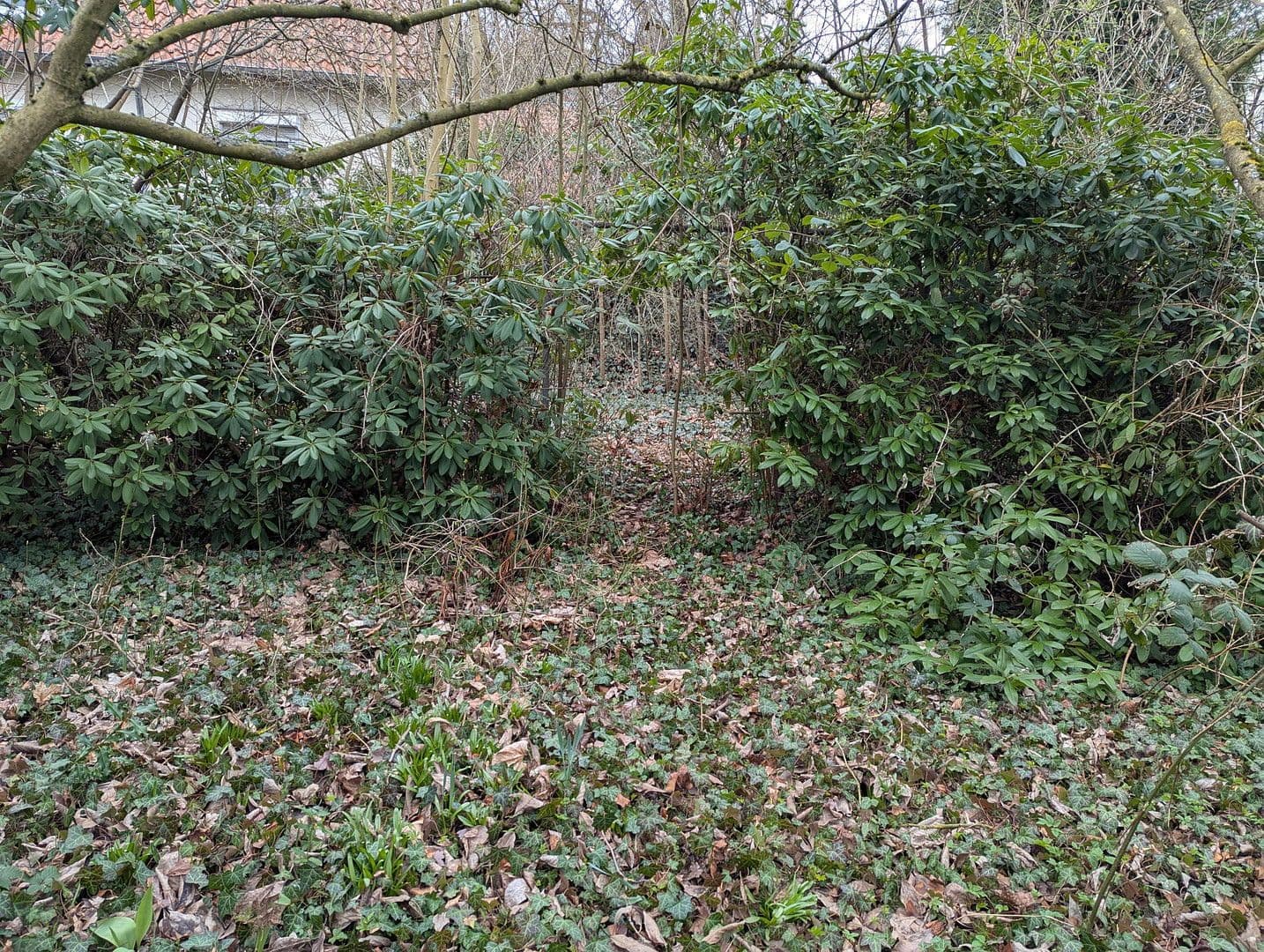 Predaj domu 123 m², pozemek 1.041 m², Herrmann-Löns-Weg 37, Salzgitter, Dolné Sasko Predaj domu 123 m², pozemek 1.041 m², Herrmann-Löns-Weg 37, Salzgitter, Dolné Sasko