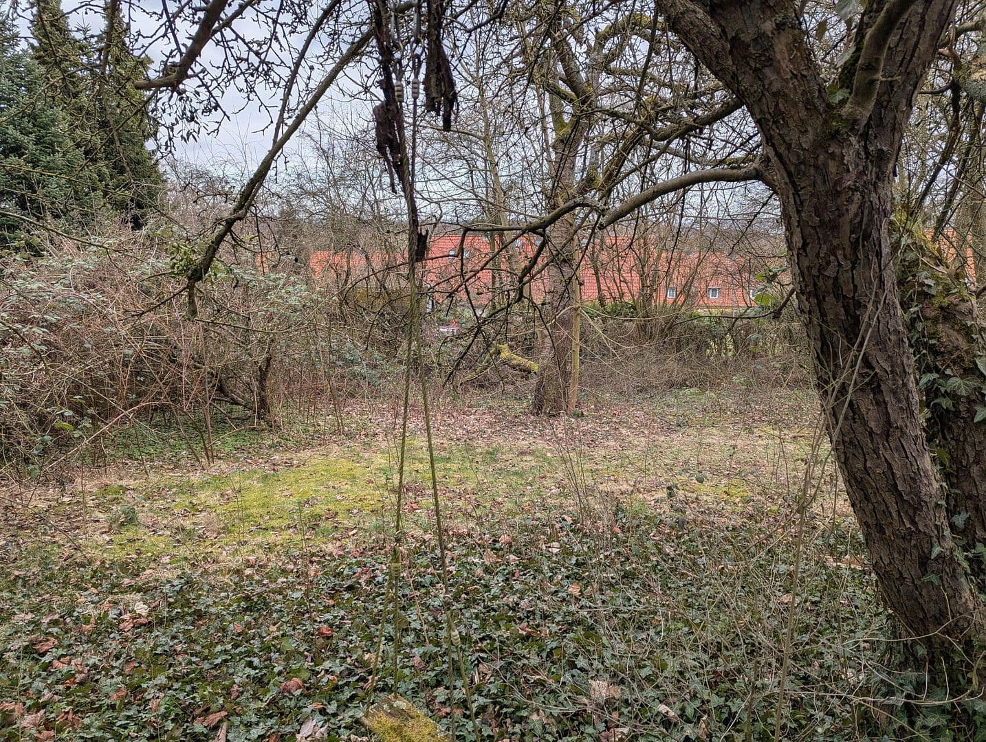 Predaj domu 123 m², pozemek 1.041 m², Herrmann-Löns-Weg 37, Salzgitter, Dolné Sasko Predaj domu 123 m², pozemek 1.041 m², Herrmann-Löns-Weg 37, Salzgitter, Dolné Sasko