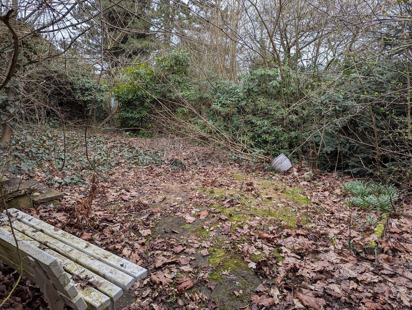 Predaj domu 123 m², pozemek 1.041 m², Herrmann-Löns-Weg 37, Salzgitter, Dolné Sasko Predaj domu 123 m², pozemek 1.041 m², Herrmann-Löns-Weg 37, Salzgitter, Dolné Sasko