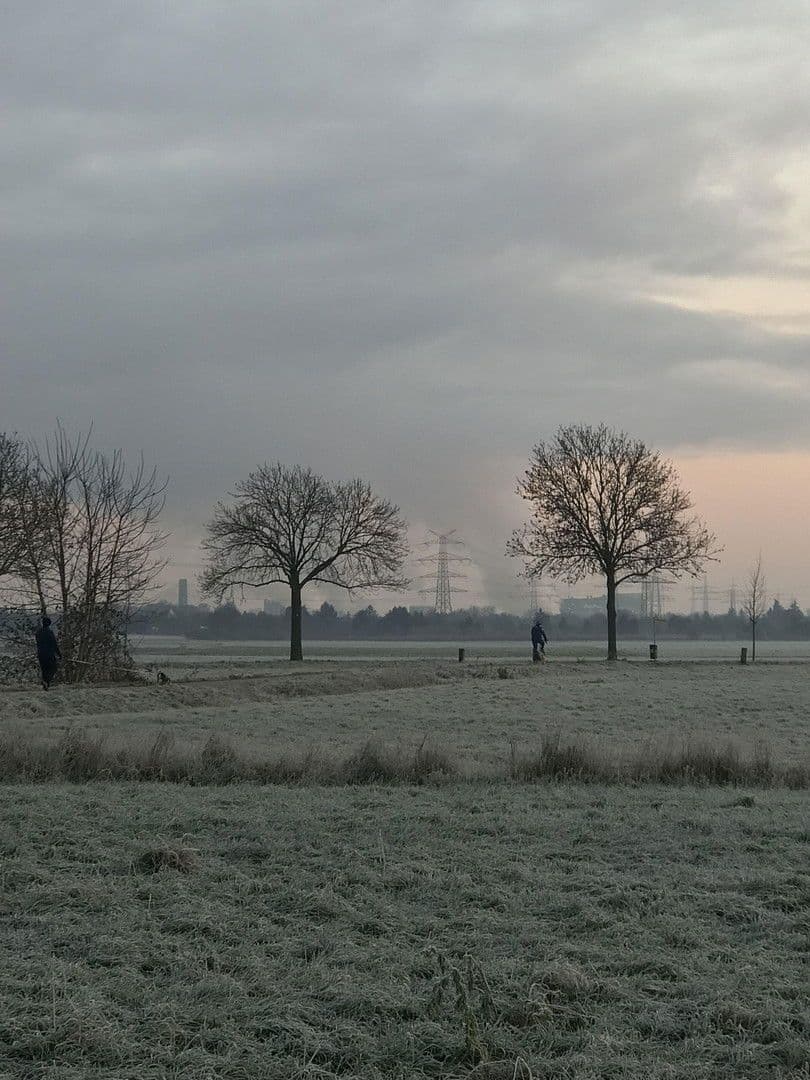 Prenájom bytu 3-izbový 15 m², Hattersheim am Main, Hesensko Prenájom bytu 3-izbový 15 m², Hattersheim am Main, Hesensko