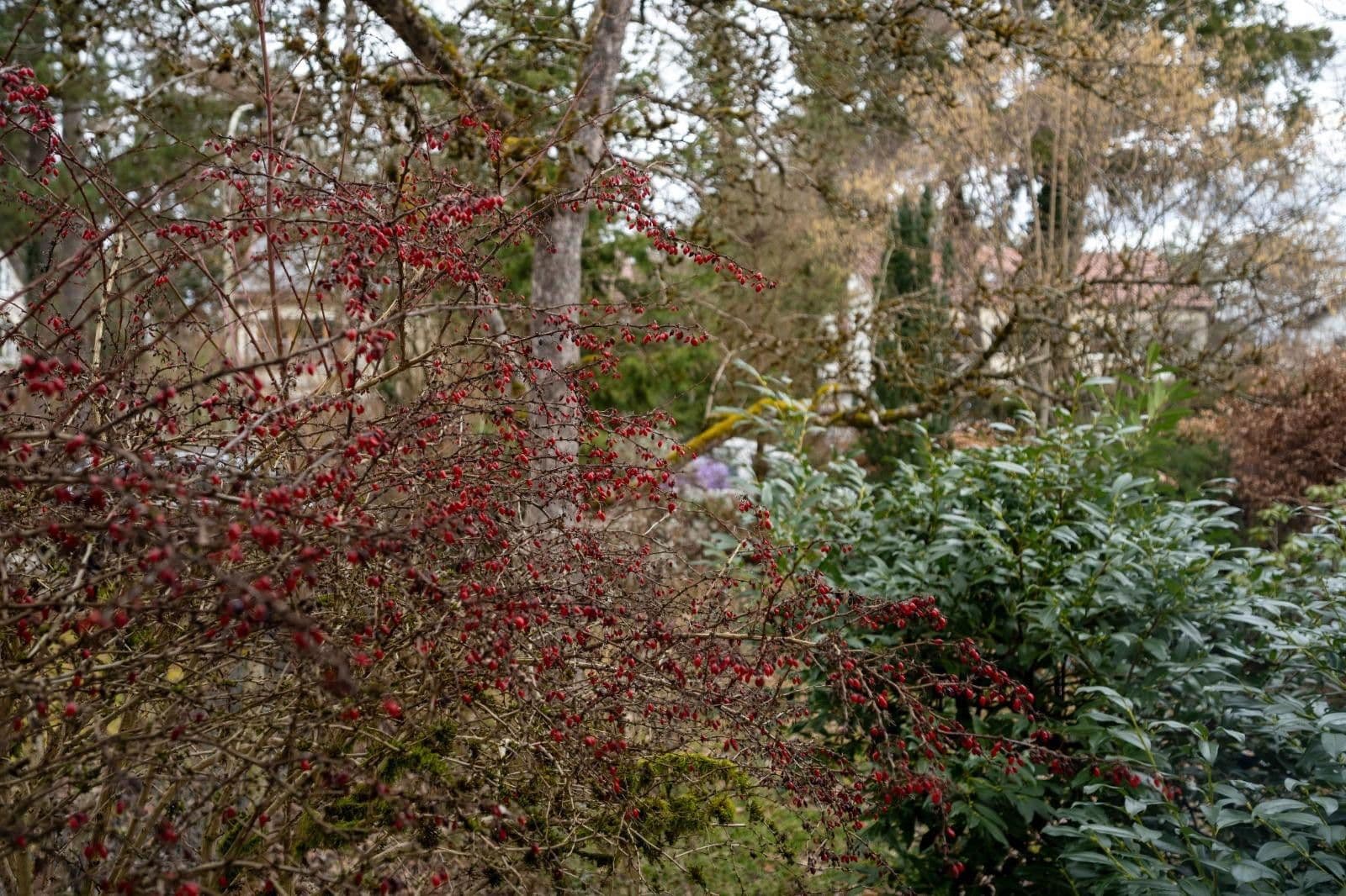 Predaj domu 110 m², pozemek 530 m², Anton-Bruckner-Str. 44, Vaterstetten, Bavorsko Predaj domu 110 m², pozemek 530 m², Anton-Bruckner-Str. 44, Vaterstetten, Bavorsko