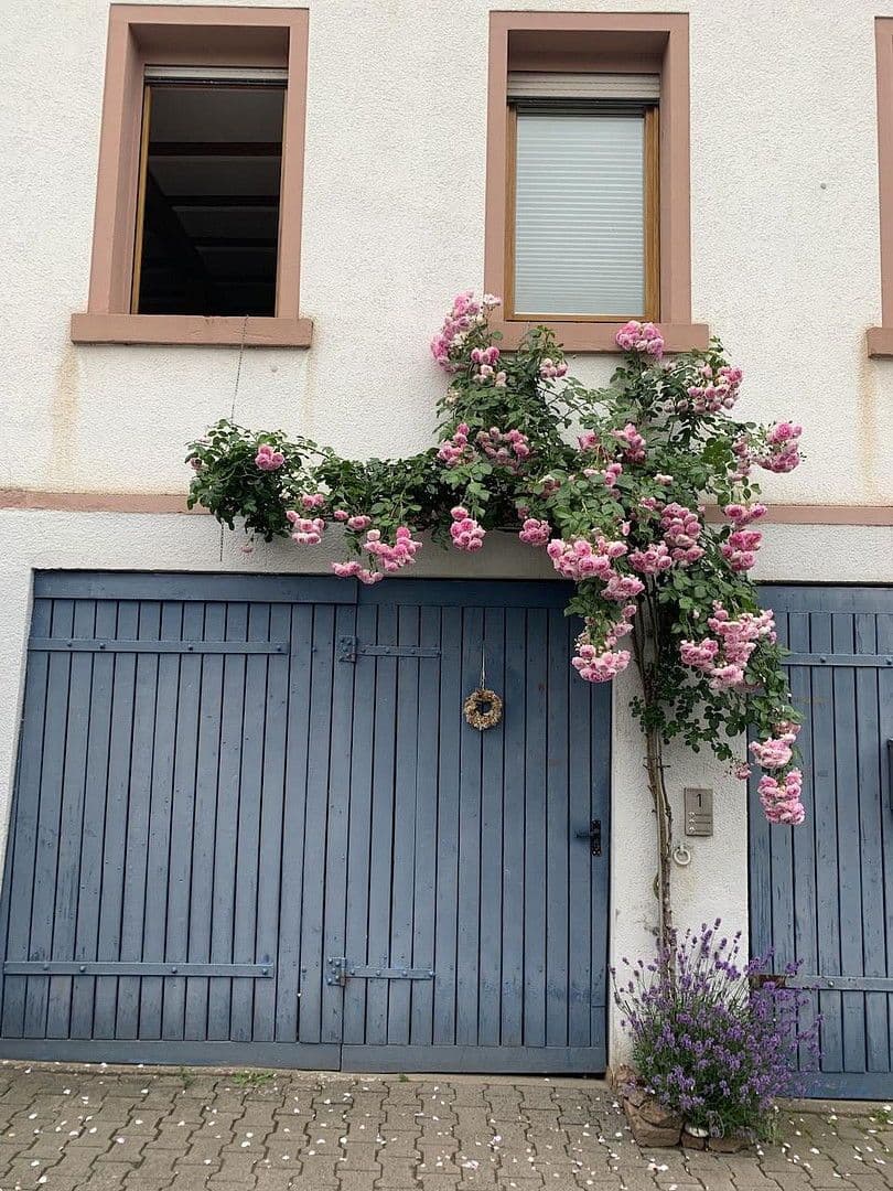 Prenájom domu 167 m², pozemek 125 m², Otzberg, Hesensko Prenájom domu 167 m², pozemek 125 m², Otzberg, Hesensko