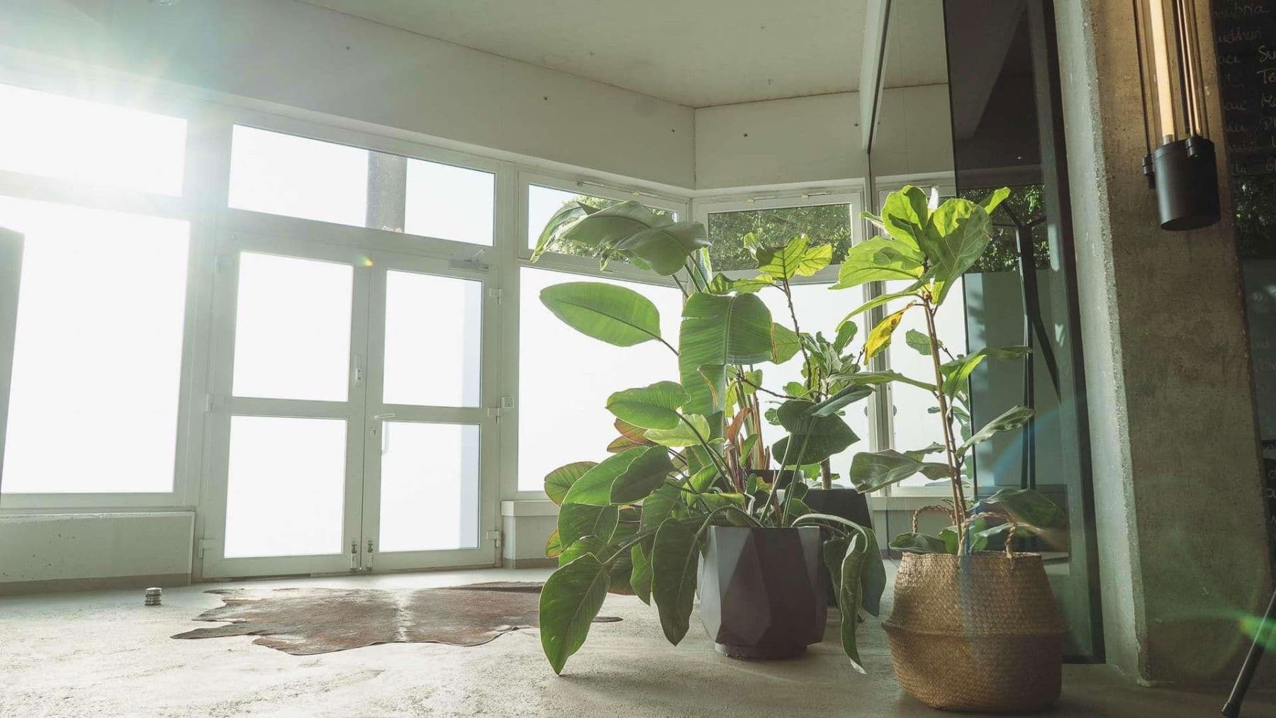 Prenájom kancelárie 288 m², Danziger Str. 211, Berlin, Berlín Prenájom kancelárie 288 m², Danziger Str. 211, Berlin, Berlín