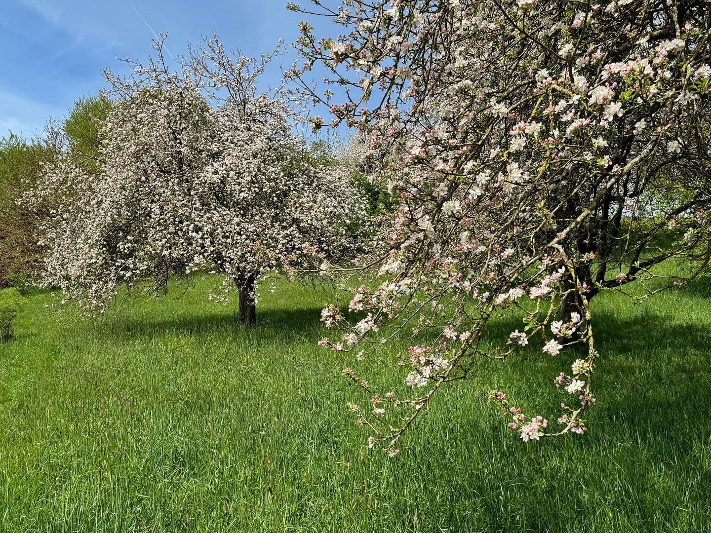 Predaj domu 818 m², pozemek 70.000 m², Leutkirch im Allgäu, Bádensko-Wurttembersko Predaj domu 818 m², pozemek 70.000 m², Leutkirch im Allgäu, Bádensko-Wurttembersko