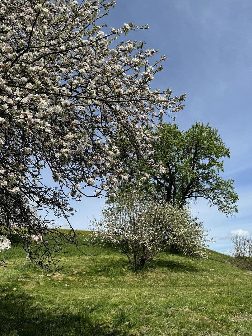 Predaj domu 818 m², pozemek 70.000 m², Leutkirch im Allgäu, Bádensko-Wurttembersko Predaj domu 818 m², pozemek 70.000 m², Leutkirch im Allgäu, Bádensko-Wurttembersko