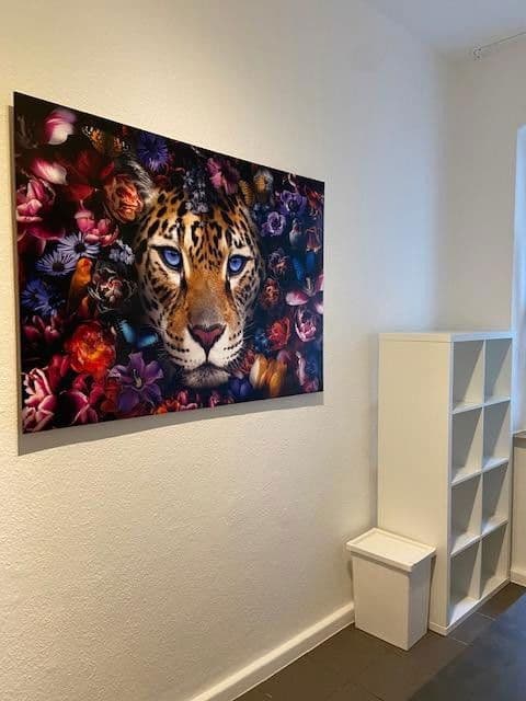 Prenájom bytu 16 m², Hasselsstraße 33, Düsseldorf, Severné Porýnie - Westfálsko Prenájom bytu 16 m², Hasselsstraße 33, Düsseldorf, Severné Porýnie - Westfálsko