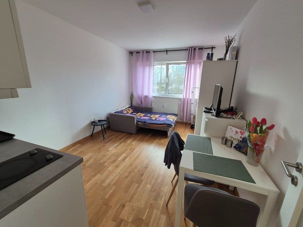 Prenájom bytu 1-izbový 20 m², U Lidového domu, Praha, Praha Prenájom bytu 1-izbový 20 m², U Lidového domu, Praha, Praha