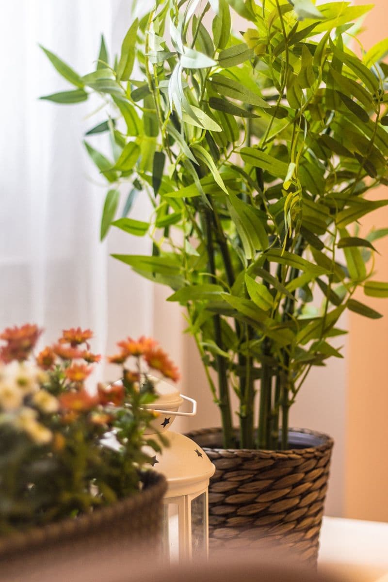 Prenájom bytu 2-izbový 30 m², Plynární, Praha, Praha Prenájom bytu 2-izbový 30 m², Plynární, Praha, Praha