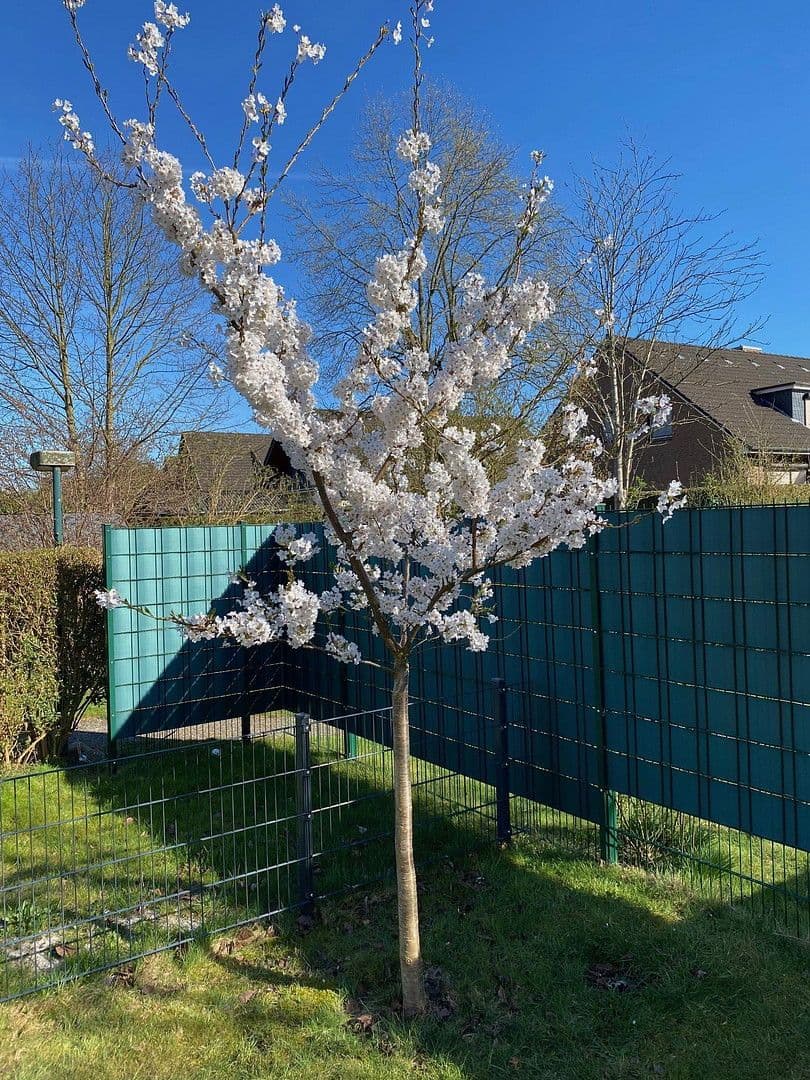 Predaj domu 146 m², pozemek 334 m², Emmi-Ruben-Weg 19F, Hamburg, Hamburg Predaj domu 146 m², pozemek 334 m², Emmi-Ruben-Weg 19F, Hamburg, Hamburg