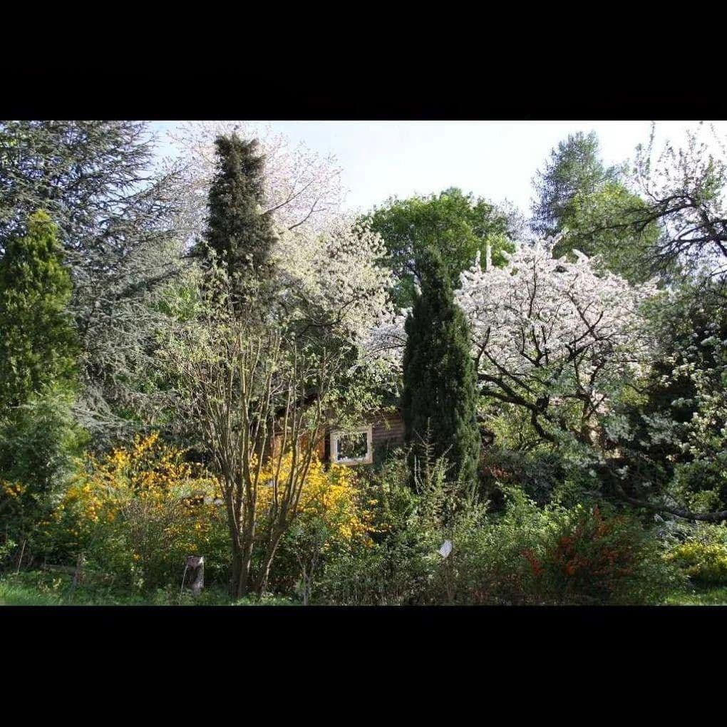 Predaj domu 30 m², pozemek 890 m², Wien, Viedeň Predaj domu 30 m², pozemek 890 m², Wien, Viedeň