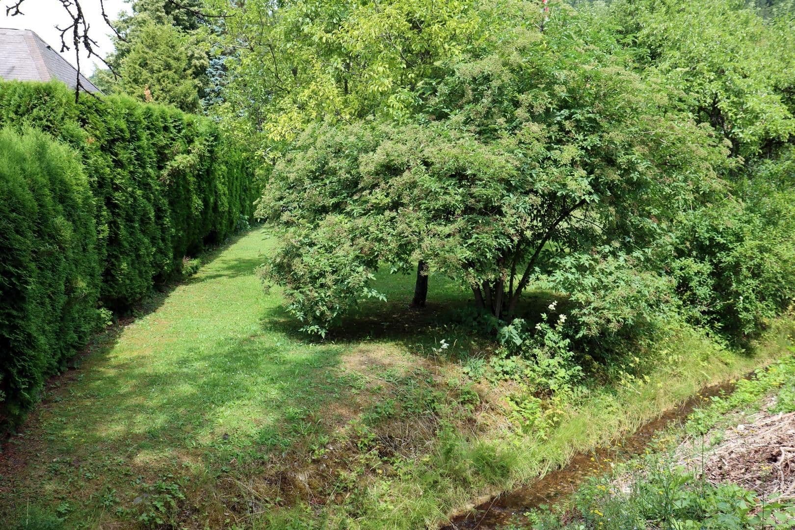 Predaj domu 210 m², pozemek 1.295 m², Reichenbach am Heuberg, Bádensko-Wurttembersko Predaj domu 210 m², pozemek 1.295 m², Reichenbach am Heuberg, Bádensko-Wurttembersko