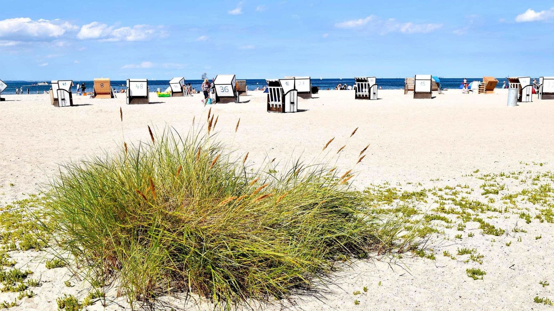 Predaj domu 360 m², pozemek 7.123 m², Dassow, Meklenbursko-Predpomoransko Predaj domu 360 m², pozemek 7.123 m², Dassow, Meklenbursko-Predpomoransko