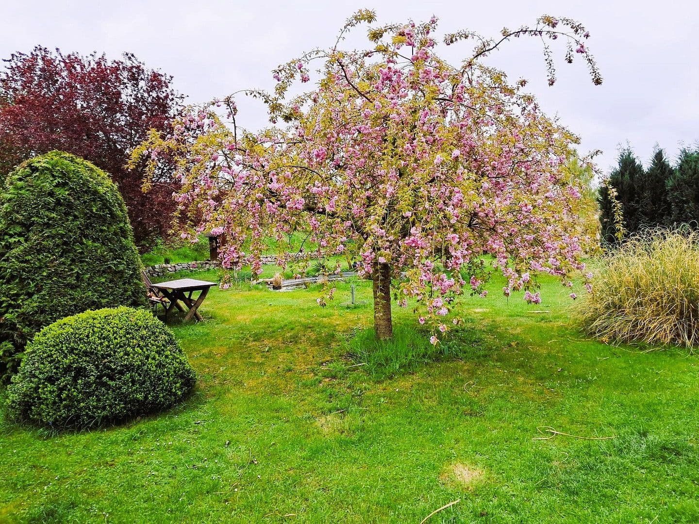 Predaj domu 360 m², pozemek 7.123 m², Dassow, Meklenbursko-Predpomoransko Predaj domu 360 m², pozemek 7.123 m², Dassow, Meklenbursko-Predpomoransko