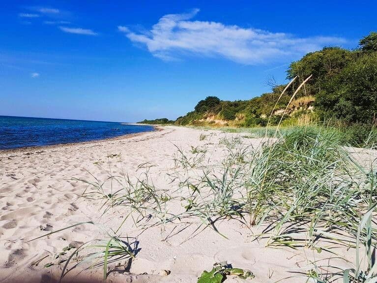 Predaj domu 360 m², pozemek 7.123 m², Dassow, Meklenbursko-Predpomoransko Predaj domu 360 m², pozemek 7.123 m², Dassow, Meklenbursko-Predpomoransko