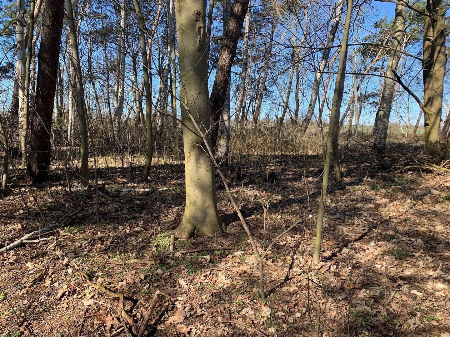 Predaj domu 360 m², pozemek 7.123 m², Dassow, Meklenbursko-Predpomoransko Predaj domu 360 m², pozemek 7.123 m², Dassow, Meklenbursko-Predpomoransko