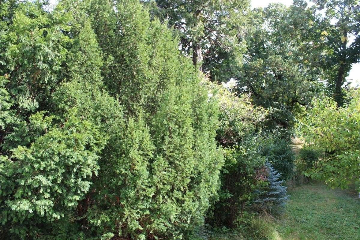 Predaj bytu 4-izbový 110 m², Wien, Viedeň Predaj bytu 4-izbový 110 m², Wien, Viedeň