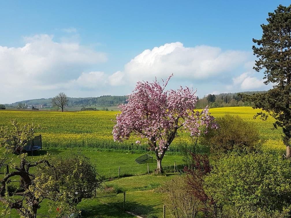 Predaj domu 200 m², pozemek 950 m², Bad Schussenried, Bádensko-Wurttembersko Predaj domu 200 m², pozemek 950 m², Bad Schussenried, Bádensko-Wurttembersko