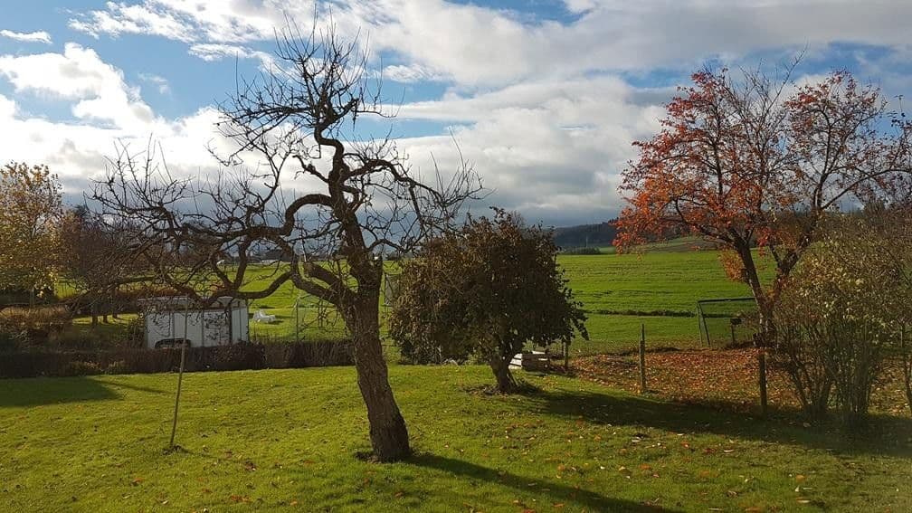 Predaj domu 200 m², pozemek 950 m², Bad Schussenried, Bádensko-Wurttembersko Predaj domu 200 m², pozemek 950 m², Bad Schussenried, Bádensko-Wurttembersko