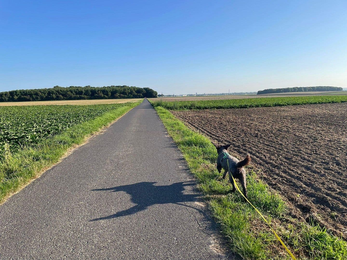 Predaj domu 187 m², pozemek 330 m², Niederkassel, Severné Porýnie - Westfálsko Predaj domu 187 m², pozemek 330 m², Niederkassel, Severné Porýnie - Westfálsko