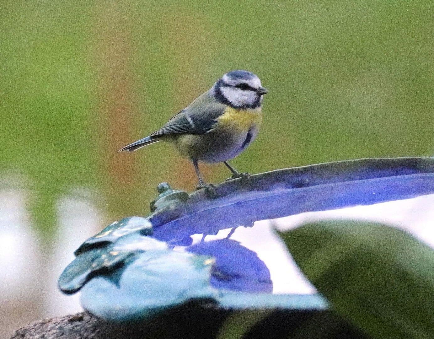 Predaj domu 358 m², pozemek 27.458 m², Gerinneweg 13, Ludwigsstadt, Bavorsko Predaj domu 358 m², pozemek 27.458 m², Gerinneweg 13, Ludwigsstadt, Bavorsko