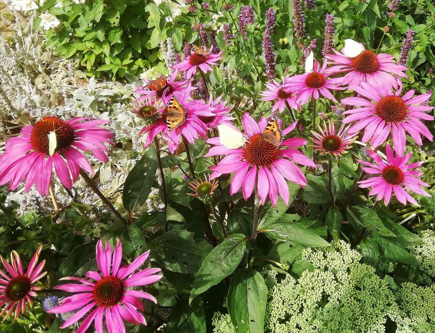 Predaj domu 358 m², pozemek 27.458 m², Gerinneweg 13, Ludwigsstadt, Bavorsko Predaj domu 358 m², pozemek 27.458 m², Gerinneweg 13, Ludwigsstadt, Bavorsko