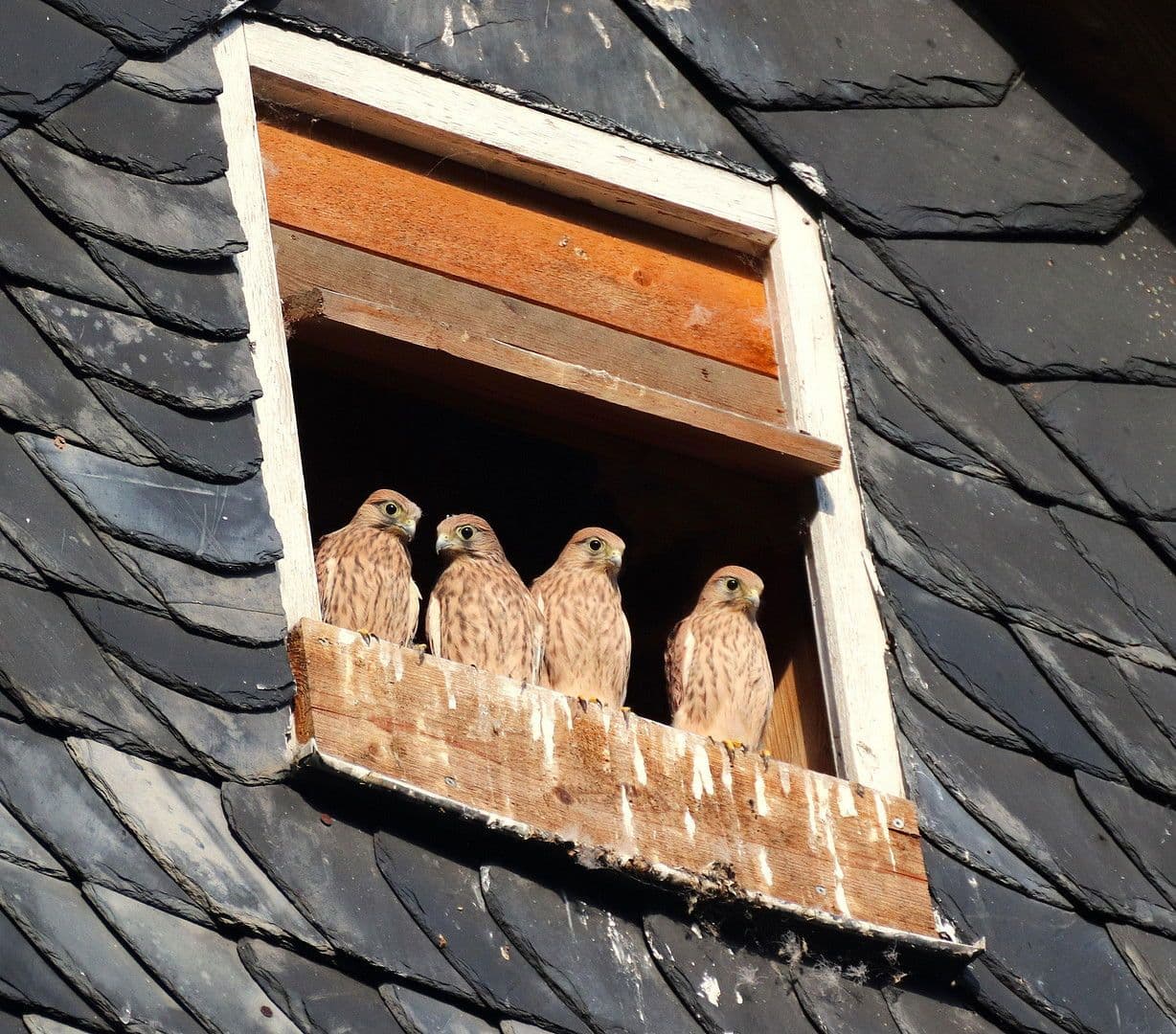 Predaj domu 358 m², pozemek 27.458 m², Gerinneweg 13, Ludwigsstadt, Bavorsko Predaj domu 358 m², pozemek 27.458 m², Gerinneweg 13, Ludwigsstadt, Bavorsko