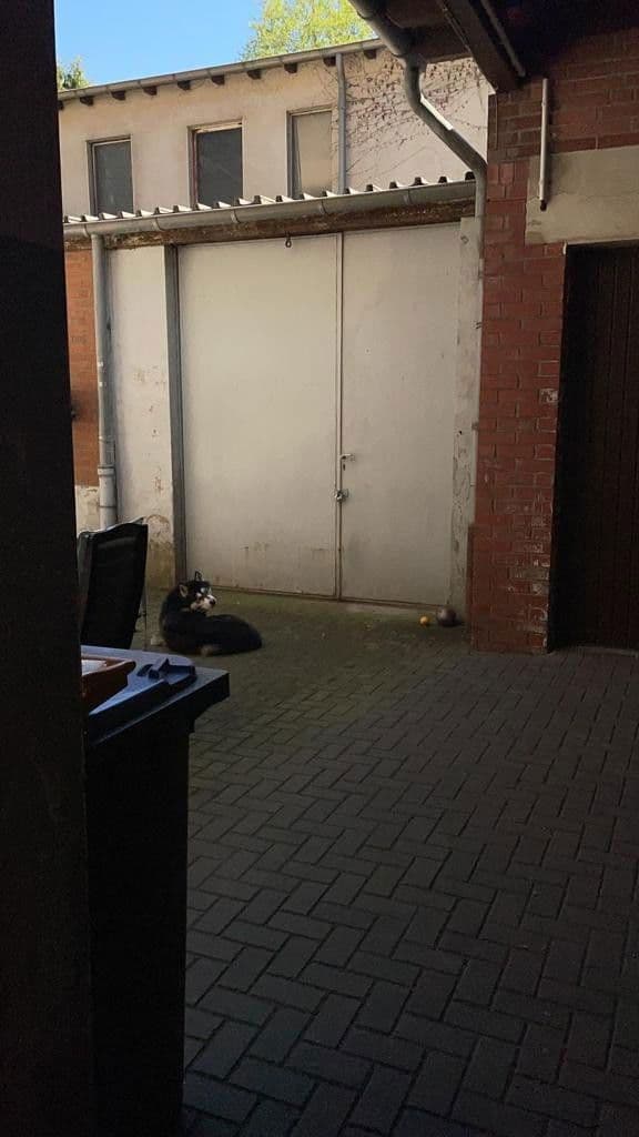 Prenájom nebytového priestoru 340 m², Veilchenstraße 24, Duisburg, Severné Porýnie - Westfálsko Prenájom nebytového priestoru 340 m², Veilchenstraße 24, Duisburg, Severné Porýnie - Westfálsko