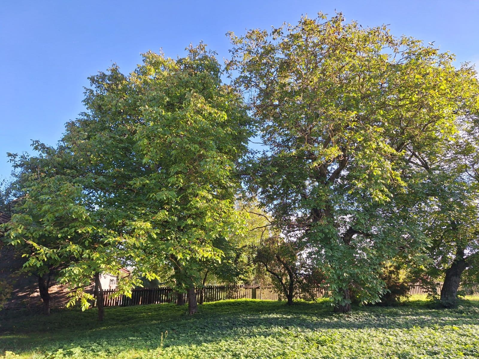 Predaj domu 145 m², pozemek 2.081 m², Mokré, Královéhradecký kraj Predaj domu 145 m², pozemek 2.081 m², Mokré, Královéhradecký kraj