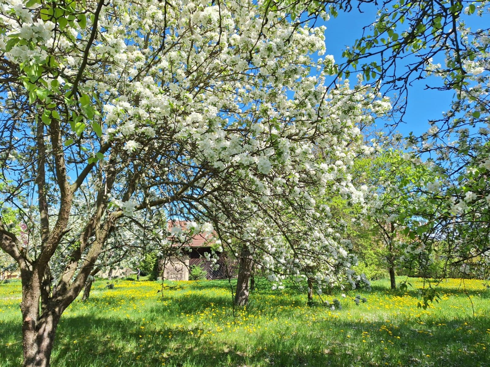 Predaj domu 145 m², pozemek 2.081 m², Mokré, Královéhradecký kraj Predaj domu 145 m², pozemek 2.081 m², Mokré, Královéhradecký kraj