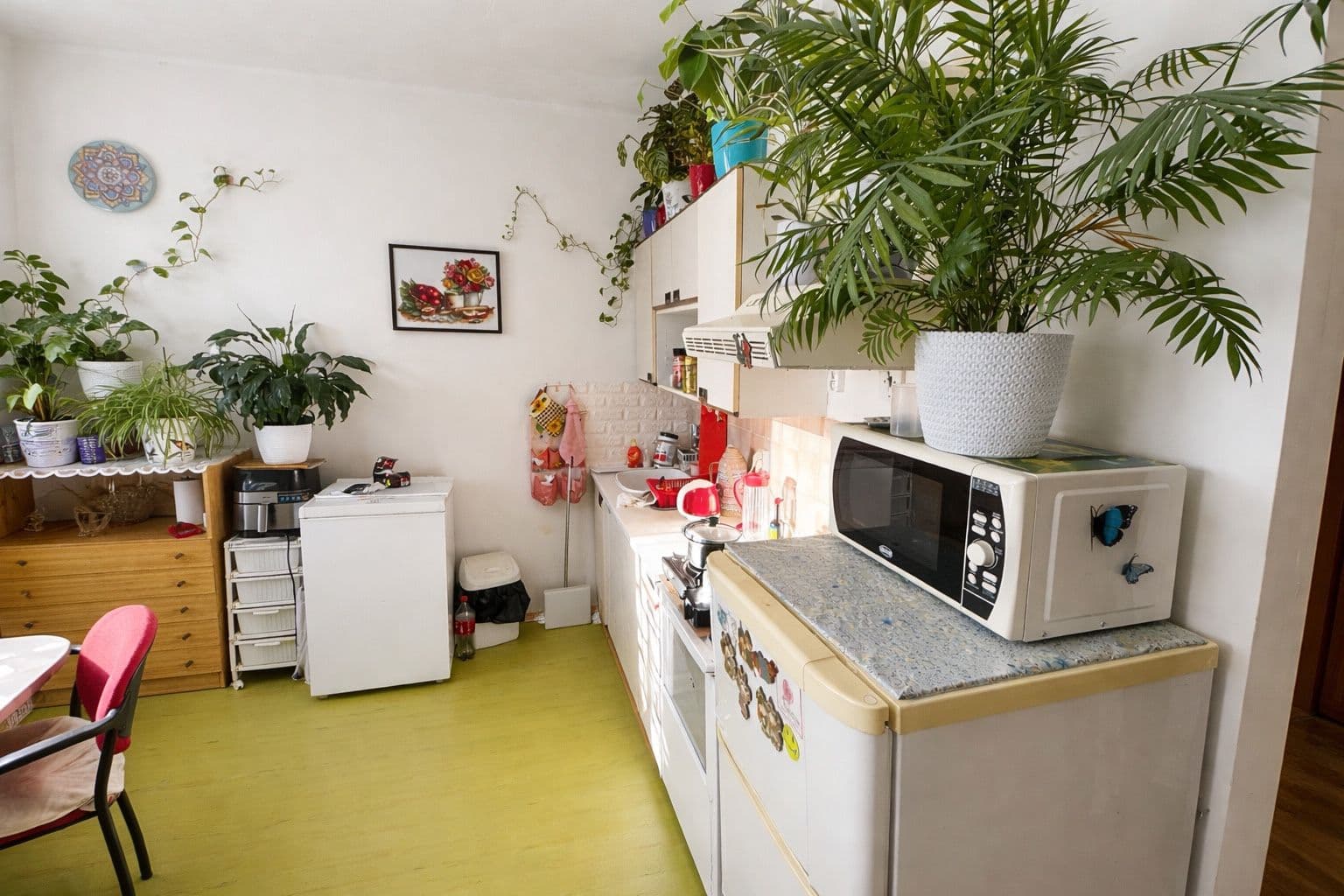 Predaj bytu 1-izbový 33 m², Mládeže, Zruč nad Sázavou, Středočeský kraj Predaj bytu 1-izbový 33 m², Mládeže, Zruč nad Sázavou, Středočeský kraj