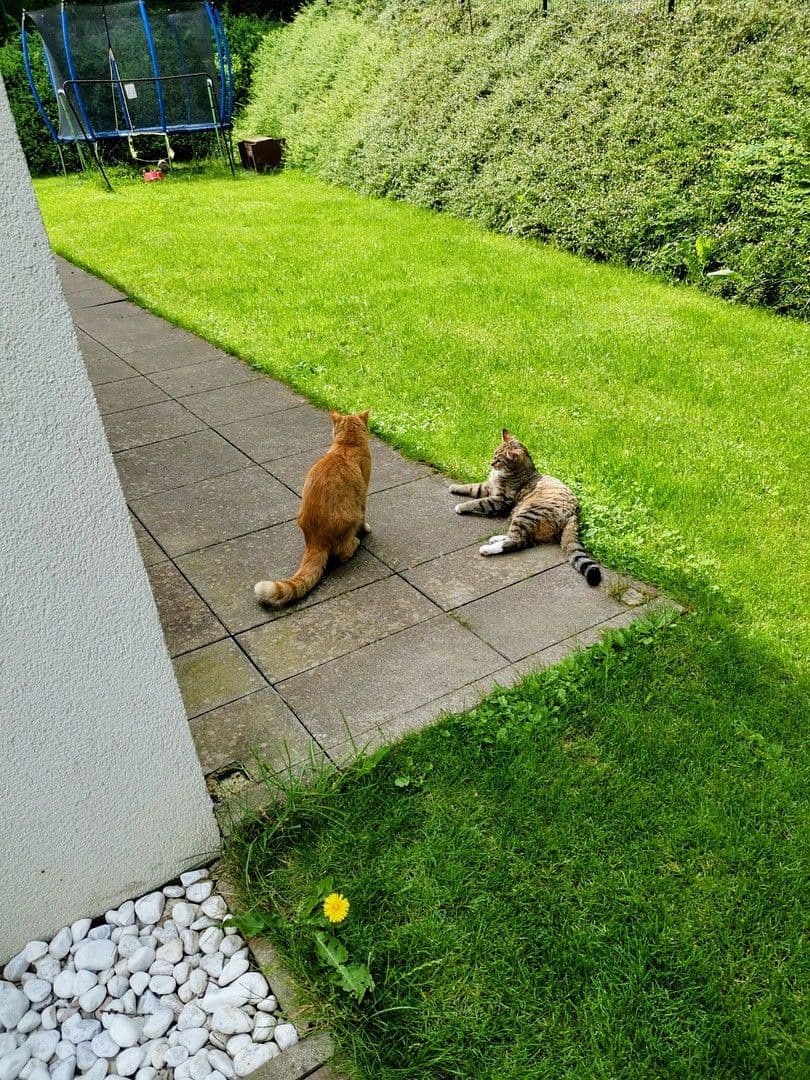 Predaj bytu 5-izbový 124 m², Seekirchen am Wallersee, Salzbursko Predaj bytu 5-izbový 124 m², Seekirchen am Wallersee, Salzbursko