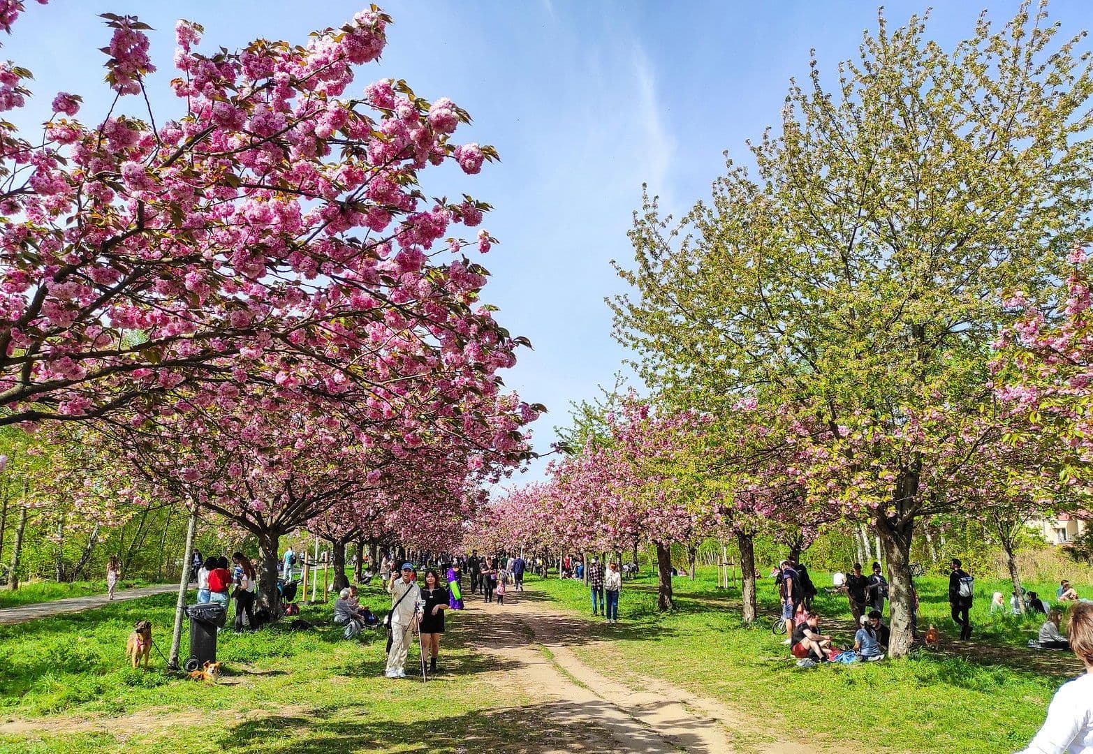 Predaj bytu 2-izbový 66 m², Unter den Eichen 54, Berlin, Berlín Predaj bytu 2-izbový 66 m², Unter den Eichen 54, Berlin, Berlín