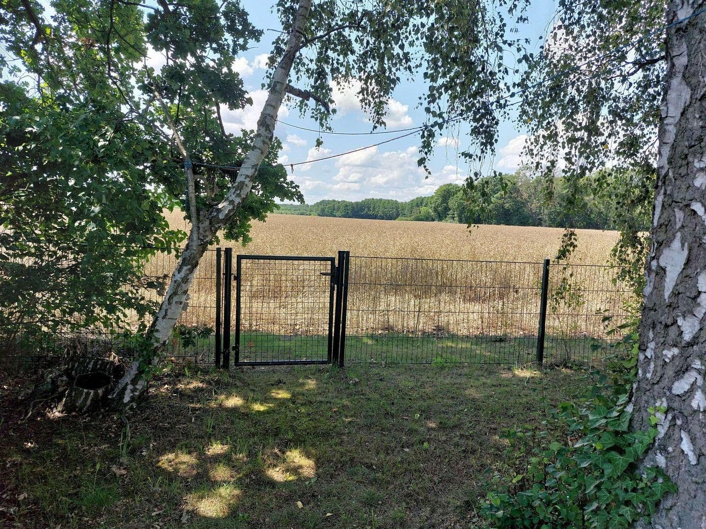 Predaj domu 25 m², pozemek 792 m², Beetzsee, Brandenbursko Predaj domu 25 m², pozemek 792 m², Beetzsee, Brandenbursko