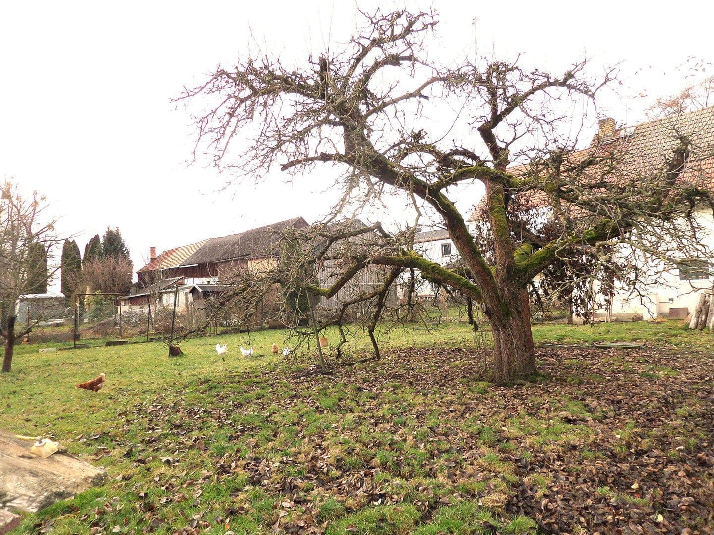 Predaj domu 219 m², pozemek 1.780 m², Bernsdorf, Sasko Predaj domu 219 m², pozemek 1.780 m², Bernsdorf, Sasko