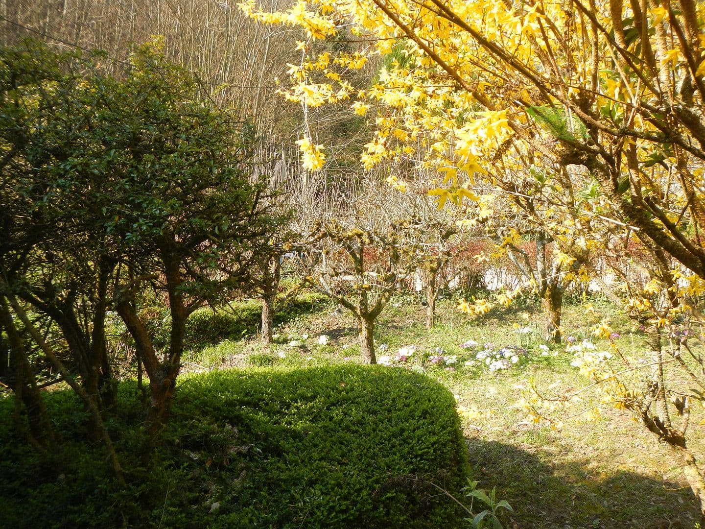 Predaj domu 227 m², pozemek 487 m², Neustadt an der Weinstraße, Porýnie-Falcko Predaj domu 227 m², pozemek 487 m², Neustadt an der Weinstraße, Porýnie-Falcko