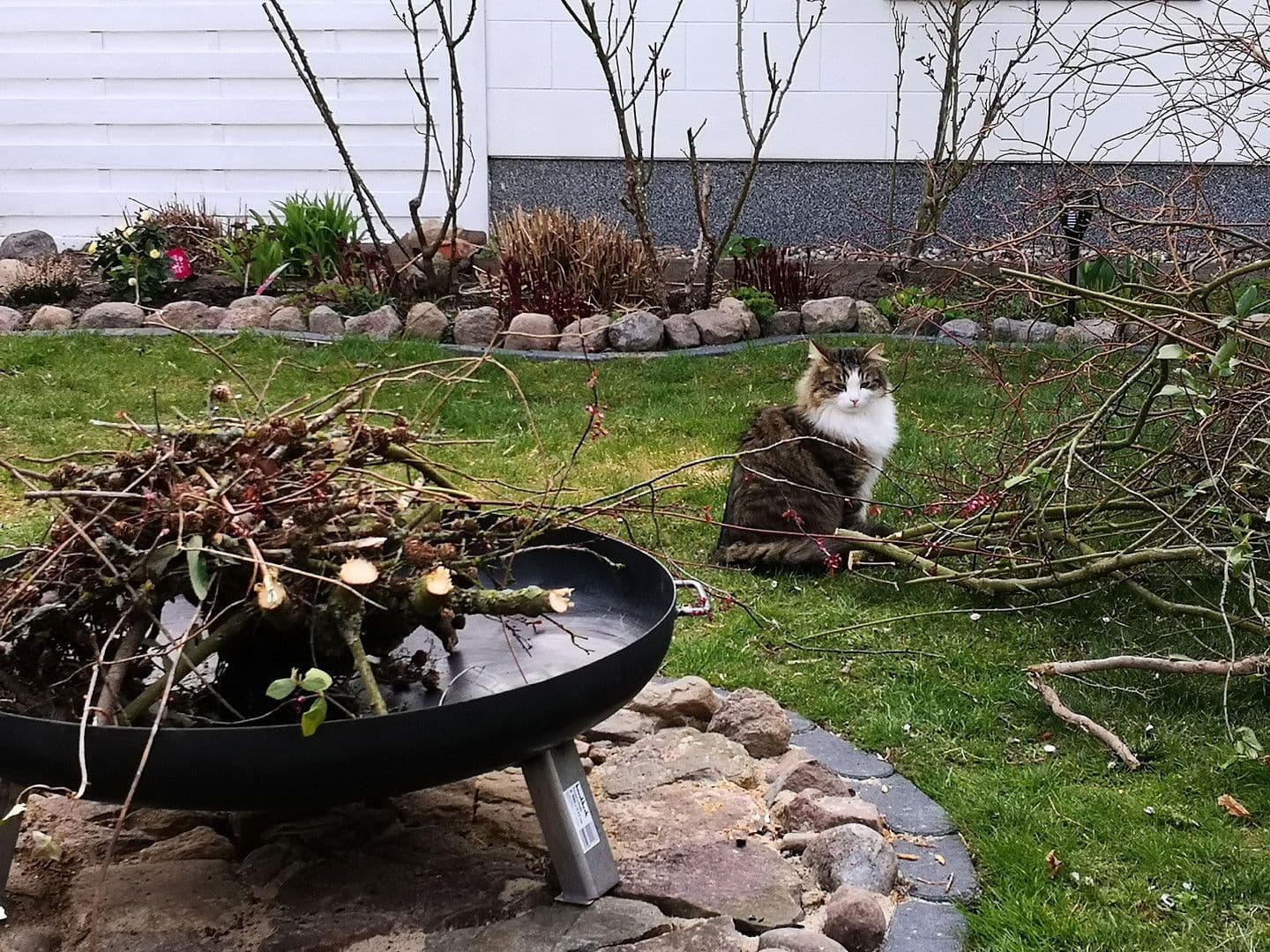 Predaj domu 164 m², pozemek 548 m², Blankensee, Meklenbursko-Predpomoransko Predaj domu 164 m², pozemek 548 m², Blankensee, Meklenbursko-Predpomoransko